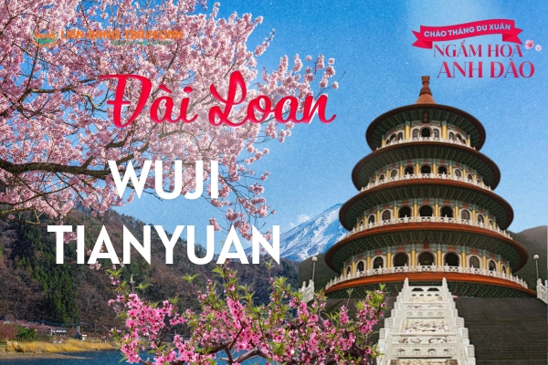 Đắm Chìm Trong Sắc Hoa Anh Đào, Cảm Nhận Vẻ Đẹp Của Đền Thiên Nguyên Cung Mùa Xuân