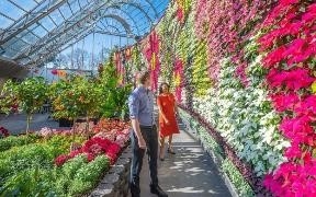 DU LỊCH ÚC: SYDNEY – MELBOURNE