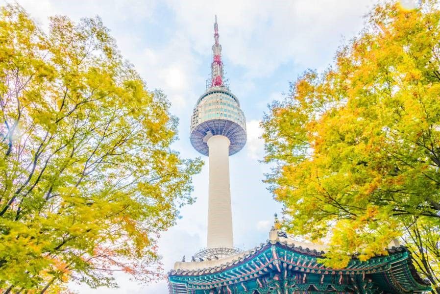 KHÁM PHÁ HÀN QUỐC: SEOUL - NAMI ISLAND - EVERLAND