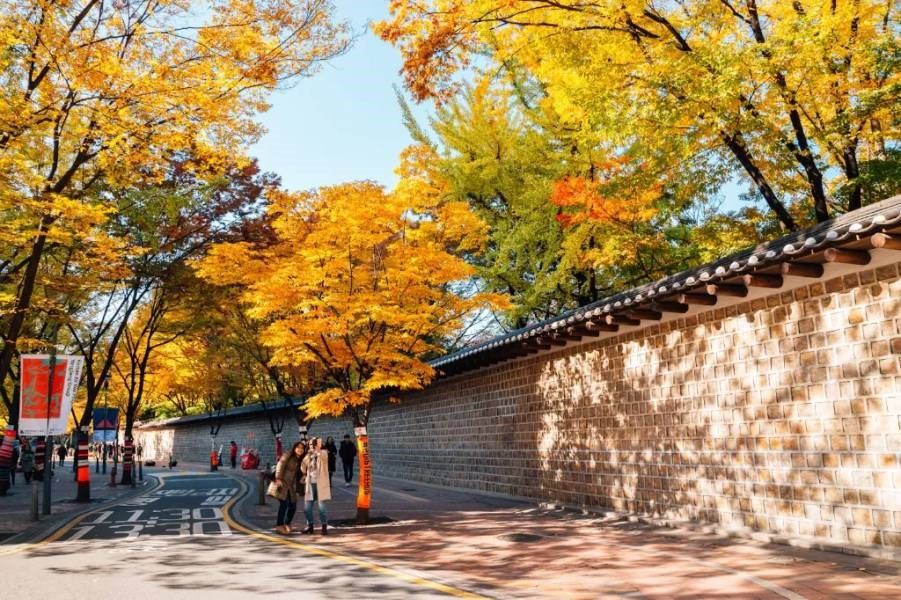 KHÁM PHÁ HÀN QUỐC: SEOUL - NAMI ISLAND - EVERLAND