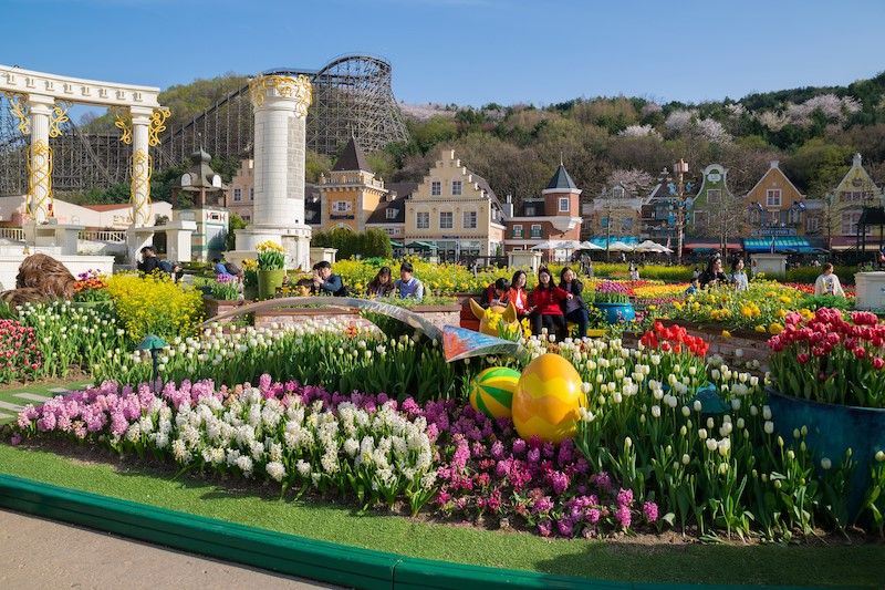 KHÁM PHÁ HÀN QUỐC: SEOUL - NAMI ISLAND - EVERLAND
