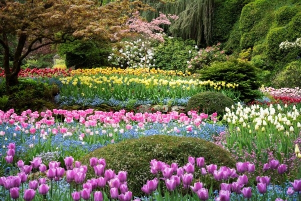 TOUR CANADA - SÔNG BĂNG COLUMBIA: Vancouver - Victoria - Sông băng