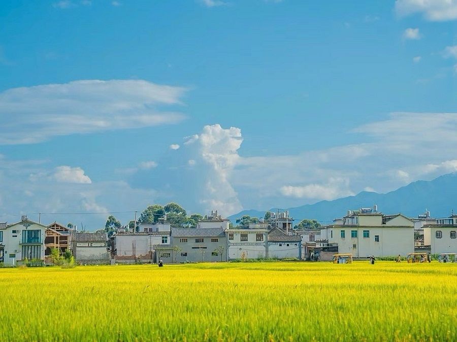 TOUR CÔN MINH - ĐẠI LÝ - LỆ GIANG - SHANGRILA