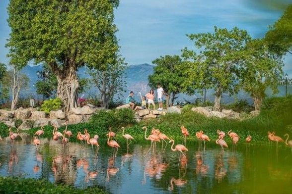 TOUR NHA TRANG - ĐÀ LẠT