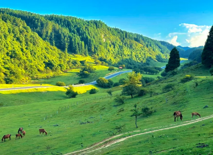 TOUR TRUNG QUỐC: TRUNG HOA DU KÝ - TRÙNG KHÁNH