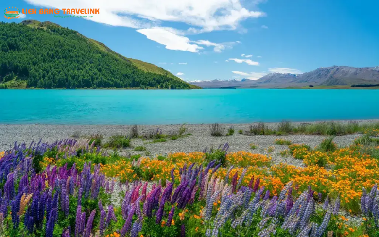 tour new zealand lien bang travel