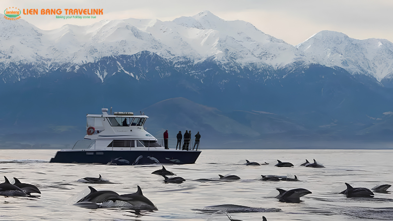 tour new zealand lien bang travel